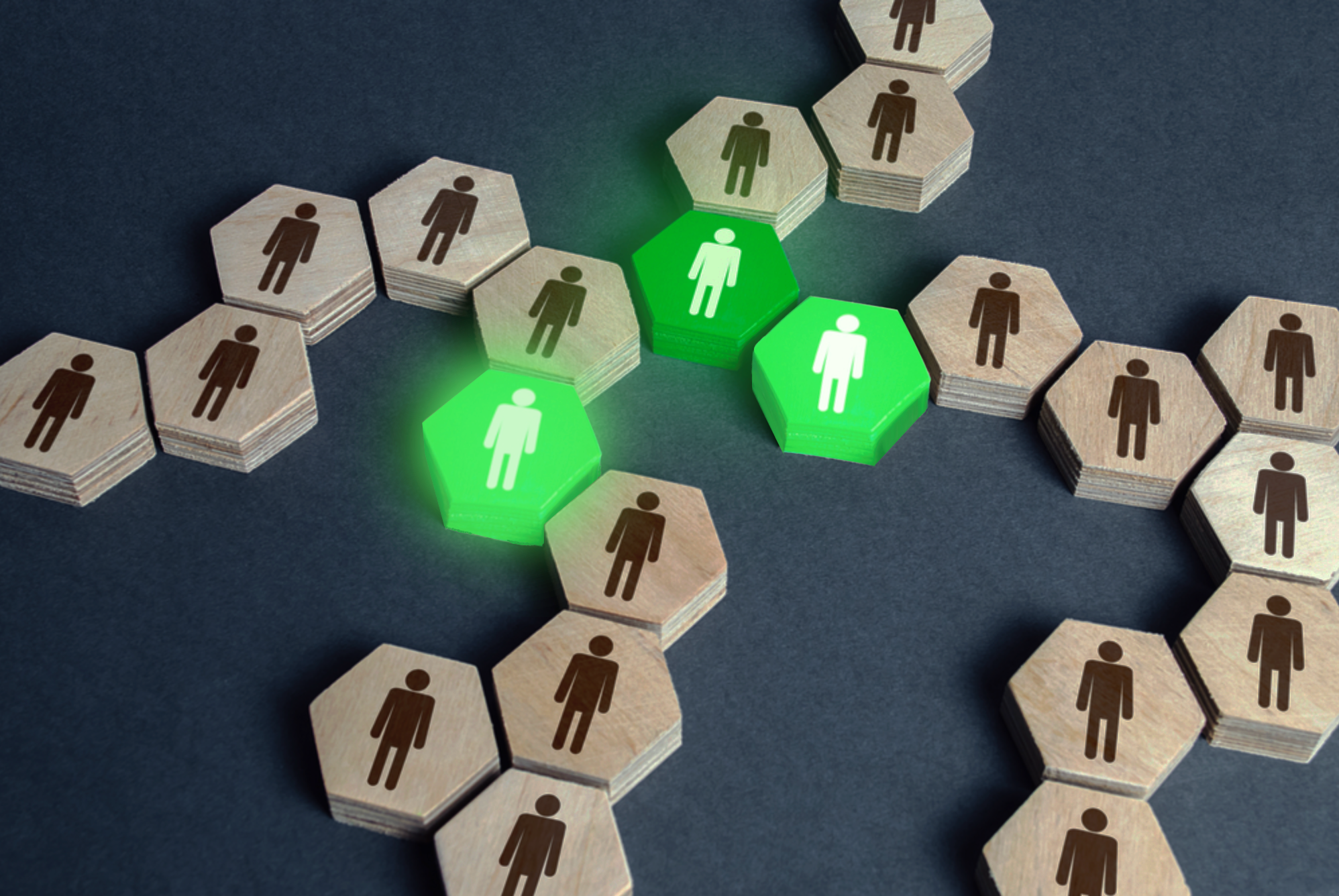 Изображение программы